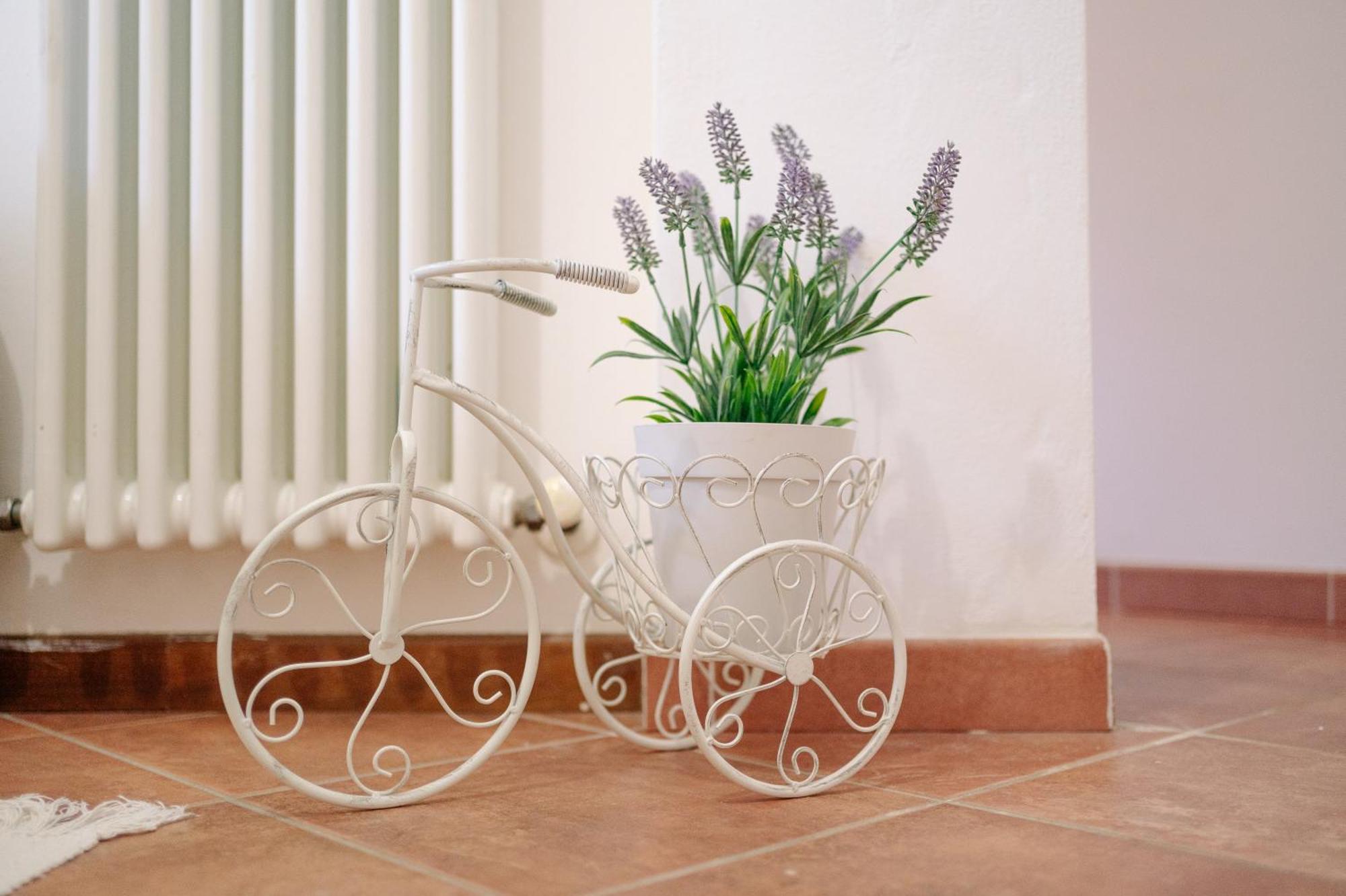 Ema'S Guest House Lucca Esterno foto